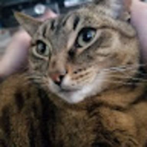 Meet your Posher, Mortea